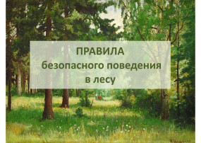 «Правила безопасного поведения в лесу». «Правила безопасного поведения в лесу».