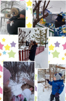Подкормка зимующих птиц. Подкормка зимующих птиц.