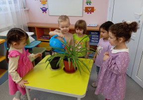Уход за комнатными растениями. Уход за комнатными растениями.