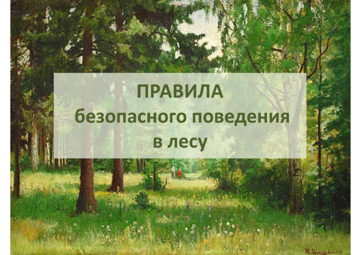 «Правила безопасного поведения в лесу». «Правила безопасного поведения в лесу».