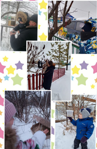 Подкормка зимующих птиц. Подкормка зимующих птиц.